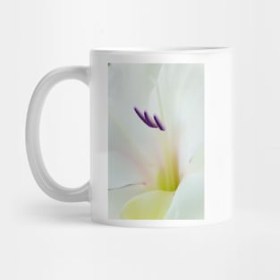 Gladiolus  &#39;White Prosperity&#39;  Sword lily Mug